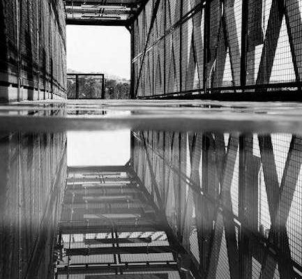 7 Essential Tips for Building a Strong Financial Foundation